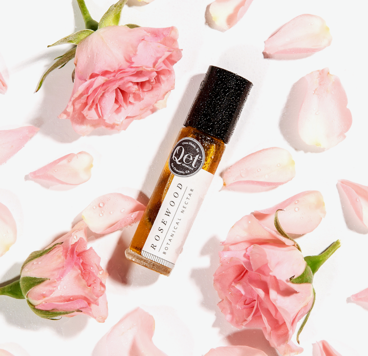 IMG_6274_E1_a59502dd-c96a-46a8